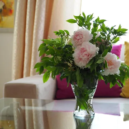 Yoana Apartman